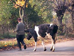 Ужгород сьогодні